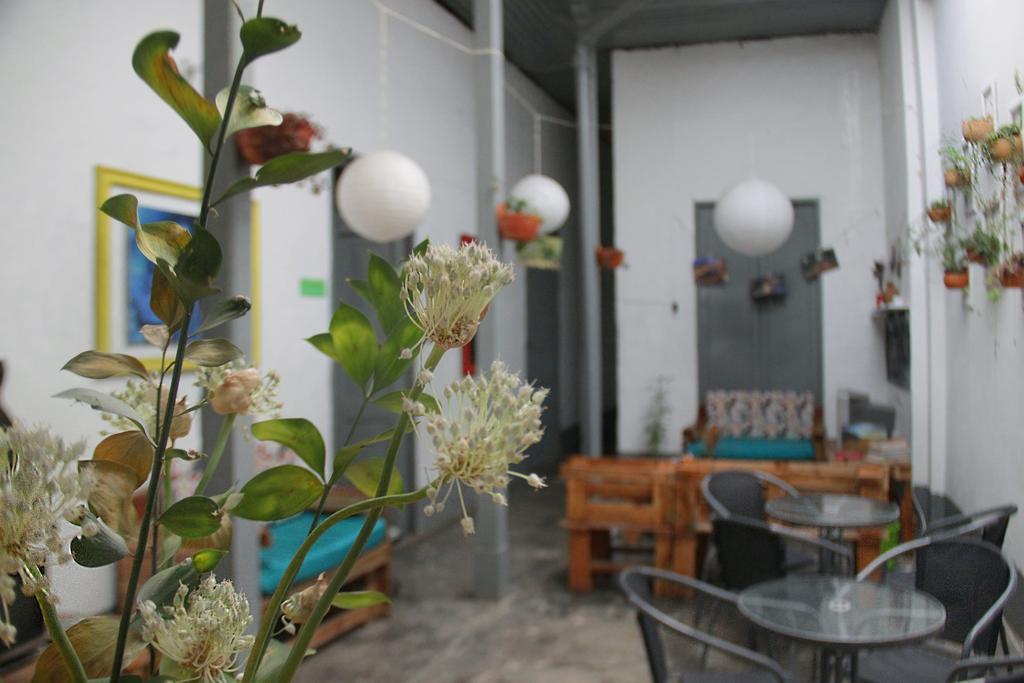 Bahareque Hostal Ibagué Exteriér fotografie